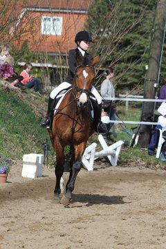 Bild 905 - WBO-Turnier am 9.4.11